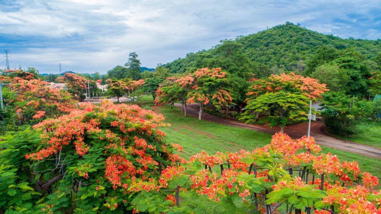 Diamond Hill Resort Nong Nam Daeng المظهر الخارجي الصورة