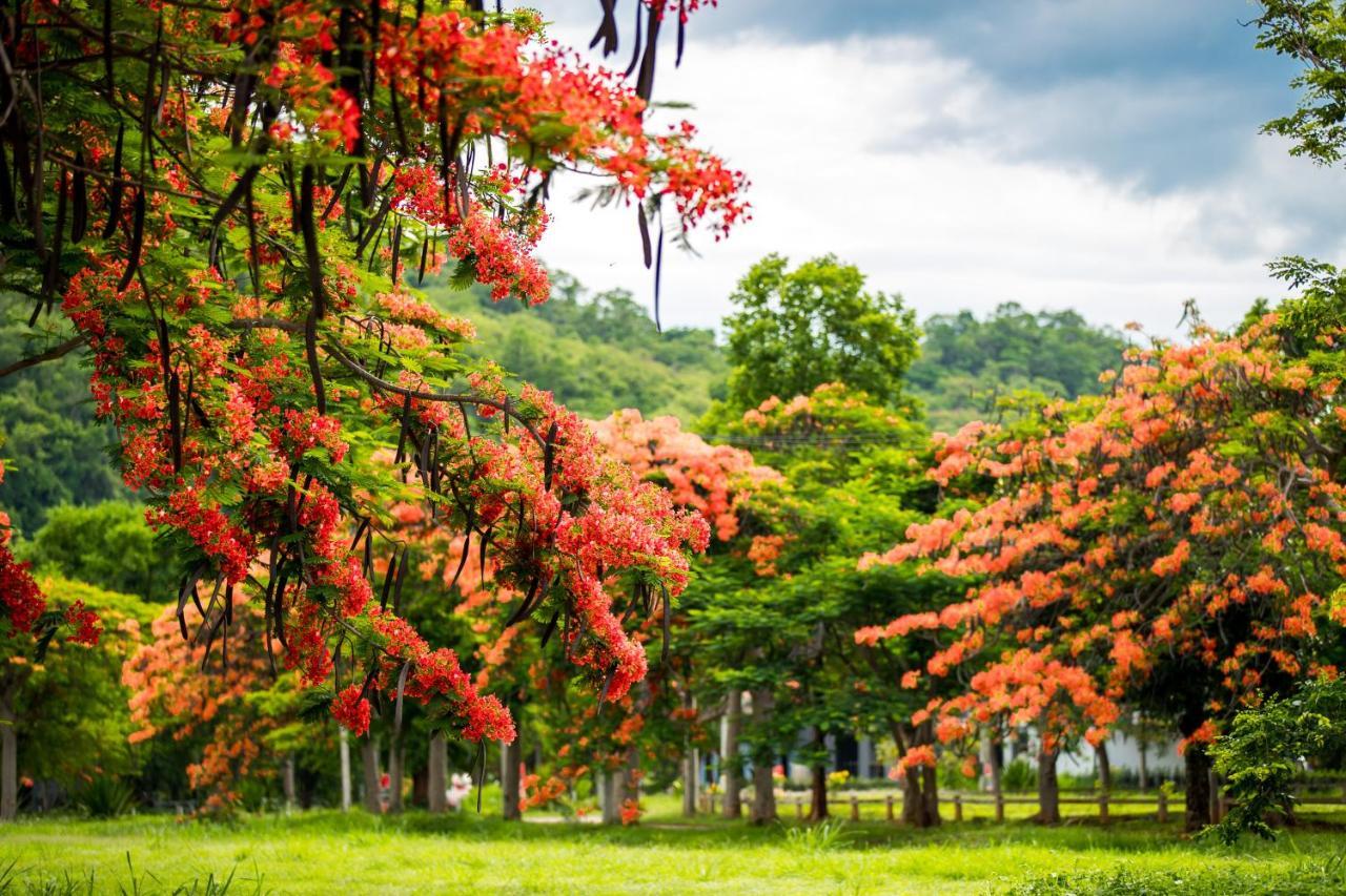 Diamond Hill Resort Nong Nam Daeng المظهر الخارجي الصورة